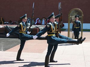 Goose step - Alchetron, The Free Social Encyclopedia