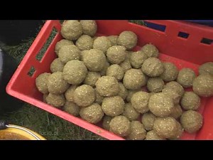 I Mini Hunter Cup 2018 Poland - Rzeszów / family fishing