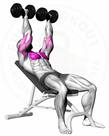 13K views · 112 reactions | Construye un Pecho Imponente | Full workout | Facebook