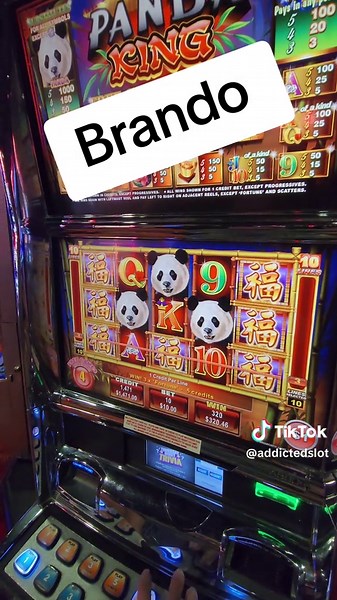 Brando's Big Wins on Panda King Slots in Vegas
