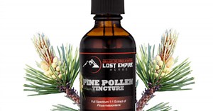 Pine Pollen Tincture | Superior Absorption Liquid Extract for...