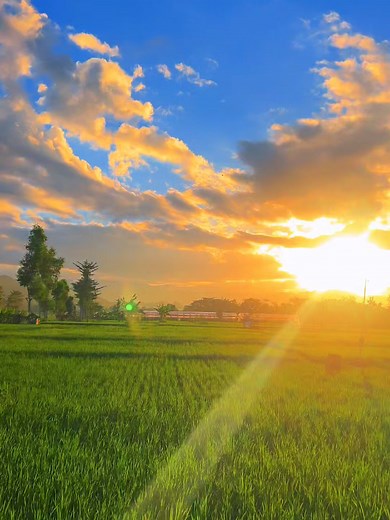 Hasil upload pake EDGE Premium 🎧🌱🌥🌤 | microsoft edge