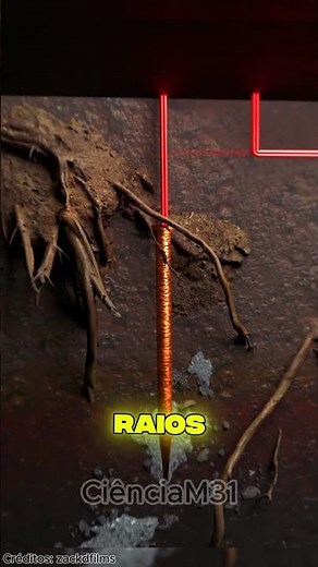 Como Funciona os Para Raios?😨#curiosidades #curiosidade #fatos #vocesabia