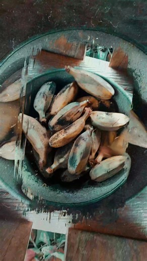 Painit sa mabugnawong kahaponon. #uwan #viralreelschallenge2025viralreelschallengejaiviralreelschallengeviralreelschallenge #viralreelschallenge #monetisasikonten #StarsEverywhere #videoviralシviralシ2025 #fbyシvideo #videoviralシ | Josephus A. Golosino