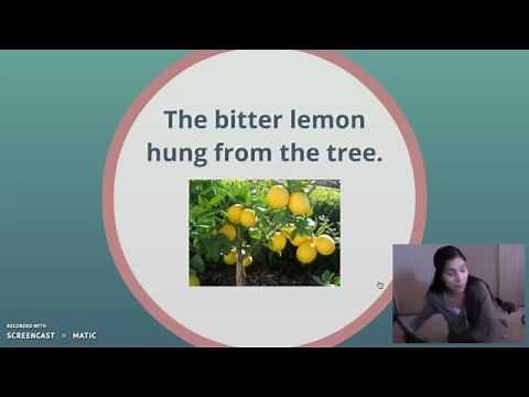 Adjectives for Second Graders