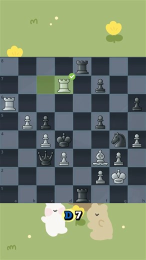 The Rook’s Perfect Checkmate in Just 2 Moves!