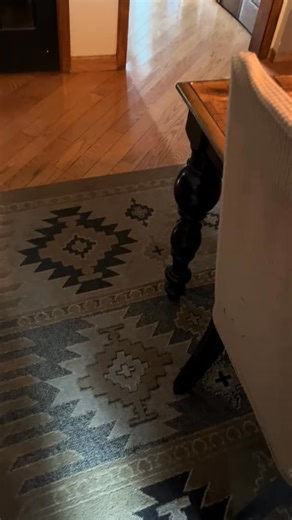 #ottoandnorman #englishsetter #setterpuppy #setterpuppies #spoileddog #lapdog #lapdogs #spots #freckles #snuggle #snuggles #curls #nap #naptime #babie | Otto and Norman