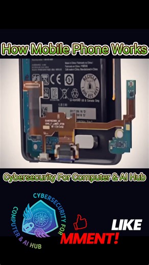 5.7K views · 48 reactions |  Ever wondered what happens inside your...