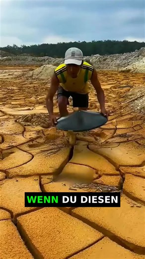 Dein.Wissen (@dein.wissen)’s videos with Originalton - Dein.Wissen