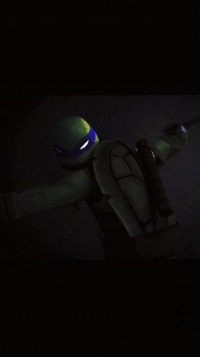 W based tiktok. #donnie #turtle #ninja #strong #teenager #fighter #enjoy #watch #follow