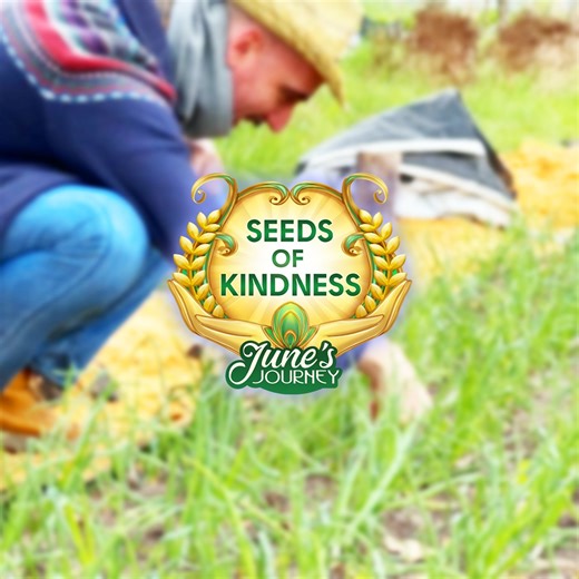 737 reactions · 11 shares | Hey Detective, plant your Seed of...