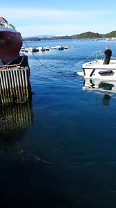200K views · 409 reactions | Other and easy ways for boat launch!! #saillife #sailing | Mizana yelken sailing | Facebook