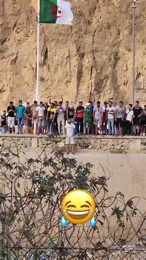 Vidéos de atlas.furie (@atlas.furie212) avec Deux petits chiens qui aboient - Julien Nègre