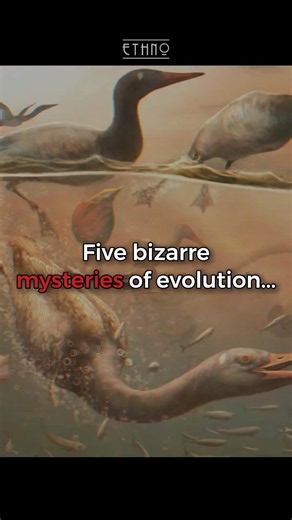 The bizarre way nature perfectly ENGINEERED monsters (The deep shift) 🧬#evolution #biology