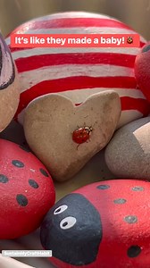 What a special treat with our morning coffee: a little 🐞 visitor! #paintedrocks #ladybug #morningvibes #sustainmycrafthabit | Sustain My Craft Habit