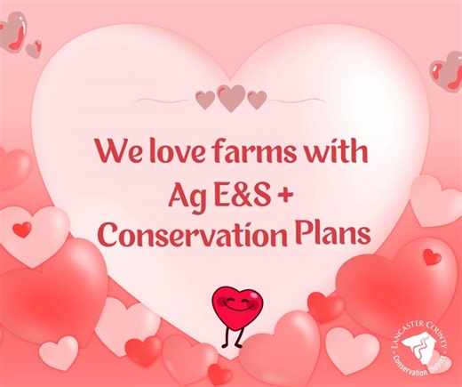 Did you know that the Lancaster Conservation District can write your Agricultural Erosion & Sediment plans and Manure Management plans for free? These plans are required for most agricultural operations. If you need an updated plan, a new plan, or new crop ground added to a current plan, contact the Conservation District at 717-299-5361 ext. 5 or visit us at 🔗 https://tr.ee/jVoH9lnDOL | Lancaster County Conservation District
