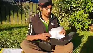 11K views · 17 reactions | All the way from Te Puke, New Zealand,...