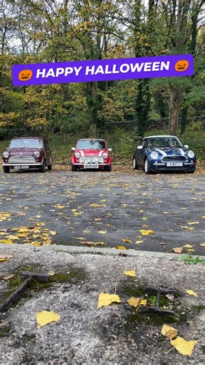 👻🎃 Happy Halloween from Drive Dad’s Car! 🎃👻 To celebrate spooky season, we’ve added a very special new car to our fleet — a Mini with a story to tell! This local legend was rescued from Albert Looms, given a new lease of life, and now it’s ready to bring some trick-or-treat nostalgia to the track. Also don't forget that mum's deserve a drive too, my mum had a mini so maybe yours would like to drive one too! Here it is lined up with our 2000 Cooper Sport and a Mk1 Mini on our driving fleet — 
