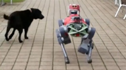 4-legged robot goes hiking in the Swiss Alps