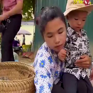 46K views · 784 reactions | Harvest ginger root take it to the market to sell - Life of a 17 Year Single Mother | Media Wala | Facebook