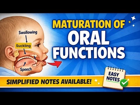 Maturation of Oral function / Orthodontics Chp 3