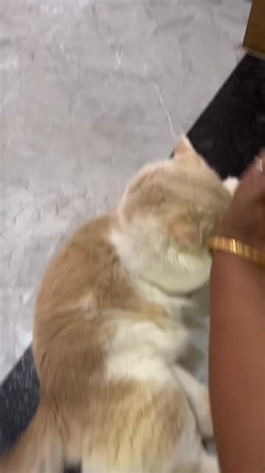 #😁😁😁 #🤫🤫🤫🤫🤫 #kuwaittqueen #fypシ゚viral #kuwait