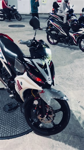 Exploring the Falcon: Nature's Majestic Bird of Prey