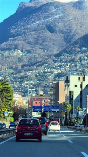 Bollywood Vibes in Zurich: A Unique Blend