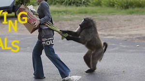 With UC Browser, you get a fast, all-in-one web experience so one is enough. Like our page to get all the latest updates! | UC Browser