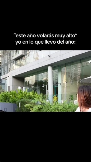 Volarás Alto Este Año con Humor y Reflexión