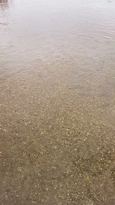 104 reactions · 3 comments | Experience the unforgettable sights and sounds of Katmai National Park. July may feel far off, but now is the ideal time to secure your transportation. We operate this tour for only one month each year to align with the peak salmon run and give you the best chance of seeing bears. Seats are extremely limited and fill quickly! | Rust's Flying Service | Facebook