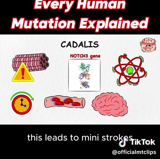 Part 2 - Every Human Mutation Explained #learnontiktok #knowledge #humanmutations #geneticmysteries #mutation #rareconditions #mindblown