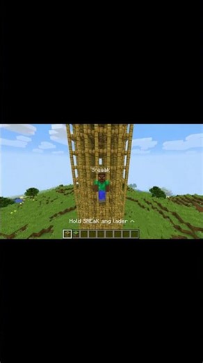 Minecraft Scaffolding Has 3 Hidden Tricks