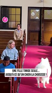 Un ami à fourrure aide une jeune fille timide à retrouver confiance en elle | Fabiosa - Rendez-le plus facile