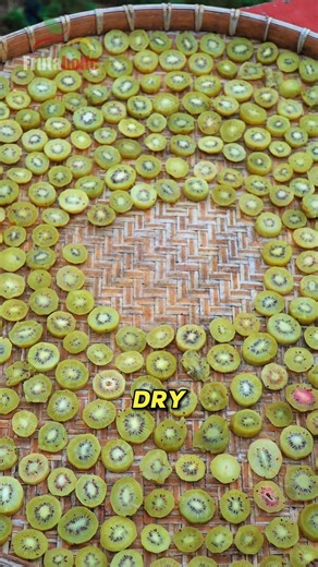How To Make Delicious Dried Kiwis Snack