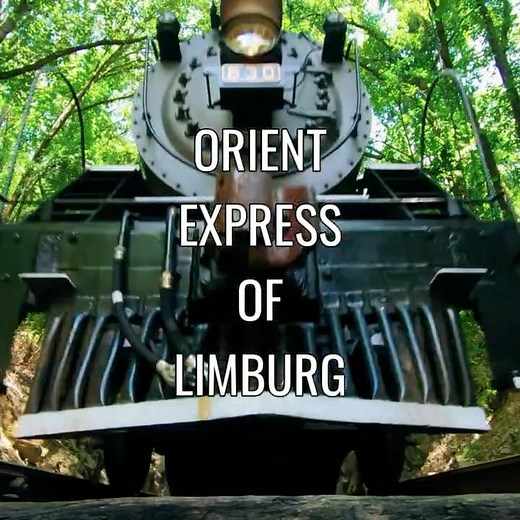 MILJOENEN LIJN SIMPELFELD # shorts #maastricht