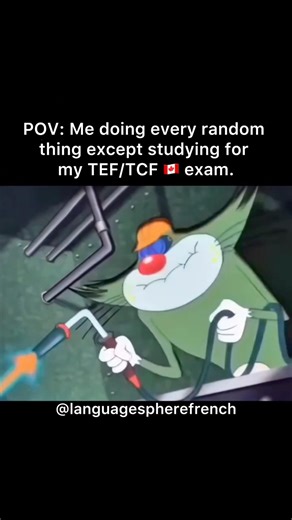 POV: You Before TEF/TCF Exam 😂🇨🇦