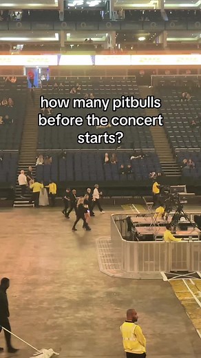 Pitbull Concert Highlights at O2 Arena, London