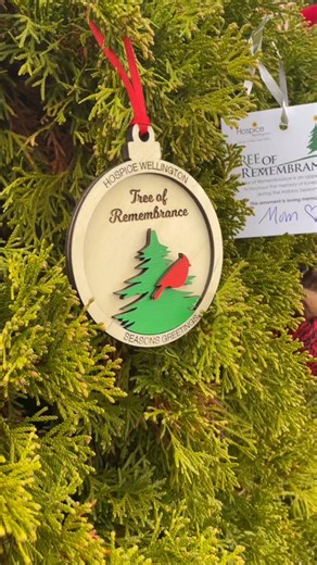 Honouring Loved Ones: The Tree of Remembrance starts tomorrow! Presented by Andra Arnold & Associates Santa stopped by for a special sneak peek at our Tree of Remembrance—and he’s inviting you to come take part in this cherished community tradition. The holiday season brings moments of joy—but it can also remind us of those we miss. At Hospice Wellington, we know how meaningful remembrance can be, and we welcome you to join us in honoring the lives of loved ones. Tree of Remembrance December 1–2