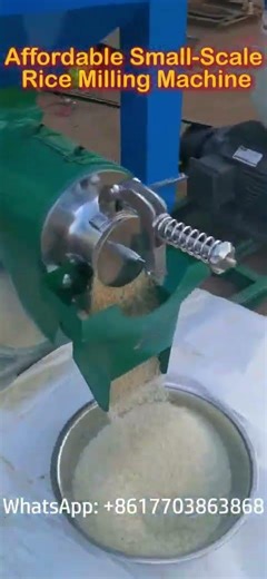 Affordable Small Scale Rice Milling Machine | Rice Processing from Paddy to White Rice