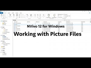 NVivo12 for Windows: Working with Picture Fiiles
