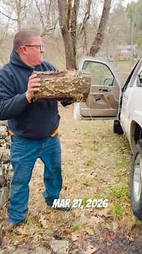 Mike loads my truck with FREE PREMIUM FIREWOOD #firewood #loadingwood #firewoodbusiness