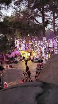 Flower shaped wrapped lighting trees dominating camp snoopy for spring Knott's Berry Farm, 3/14/2026