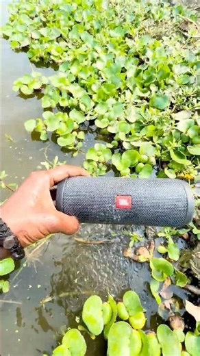 Jbl jumping bass test especially2