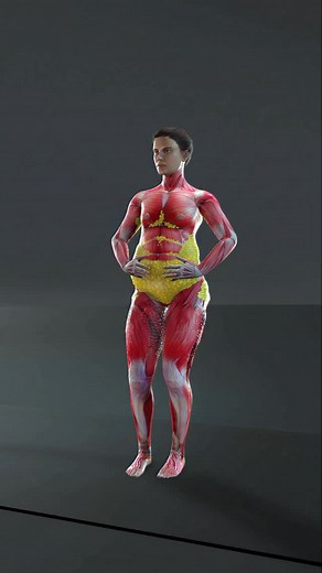 17K views · 92 reactions |  Cardio Workout to Burn Belly Fat Fast...