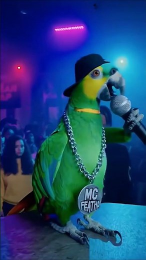 This Parrot’s Beatboxing Skills Are INSANE! 🦜💥