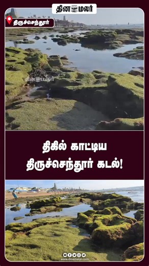 Dinamalar on Instagram: "திகில் காட்டிய திருச்செந்தூர் கடல்!"