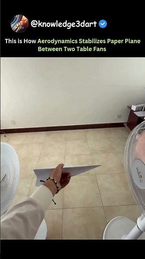 Aerodynamics Stabilizes Paper Plane | SIGMA PHYSICS 🗿