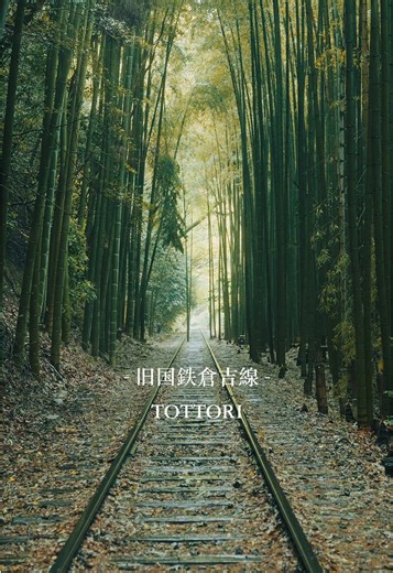 倉吉線廃線と竹林の絶景