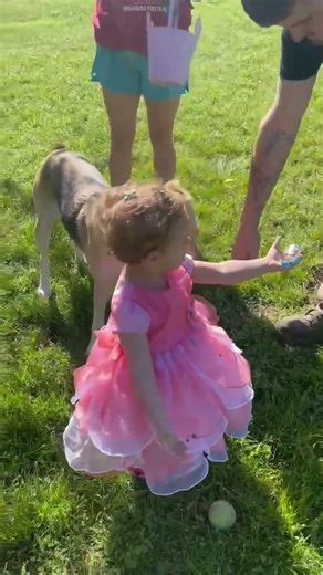 “One follow = one more life saved 🐾❤️” #viral #adoptstrays #shortvideos #foryoupage #short #funny